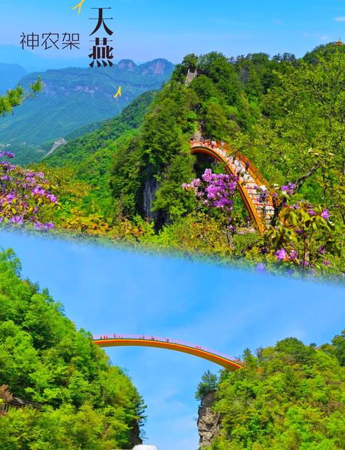 湖北神农架景区,湖北神农架景区门票费用及优惠政策-第1张图片 湖北神农架景区,湖北神农架景区门票费用及优惠政策-第1张图片