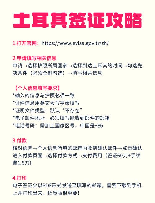 土耳其旅游签证如何办理(土耳其旅游签证如何办理手续)-第2张图片 土耳其旅游签证如何办理(土耳其旅游签证如何办理手续)-第2张图片