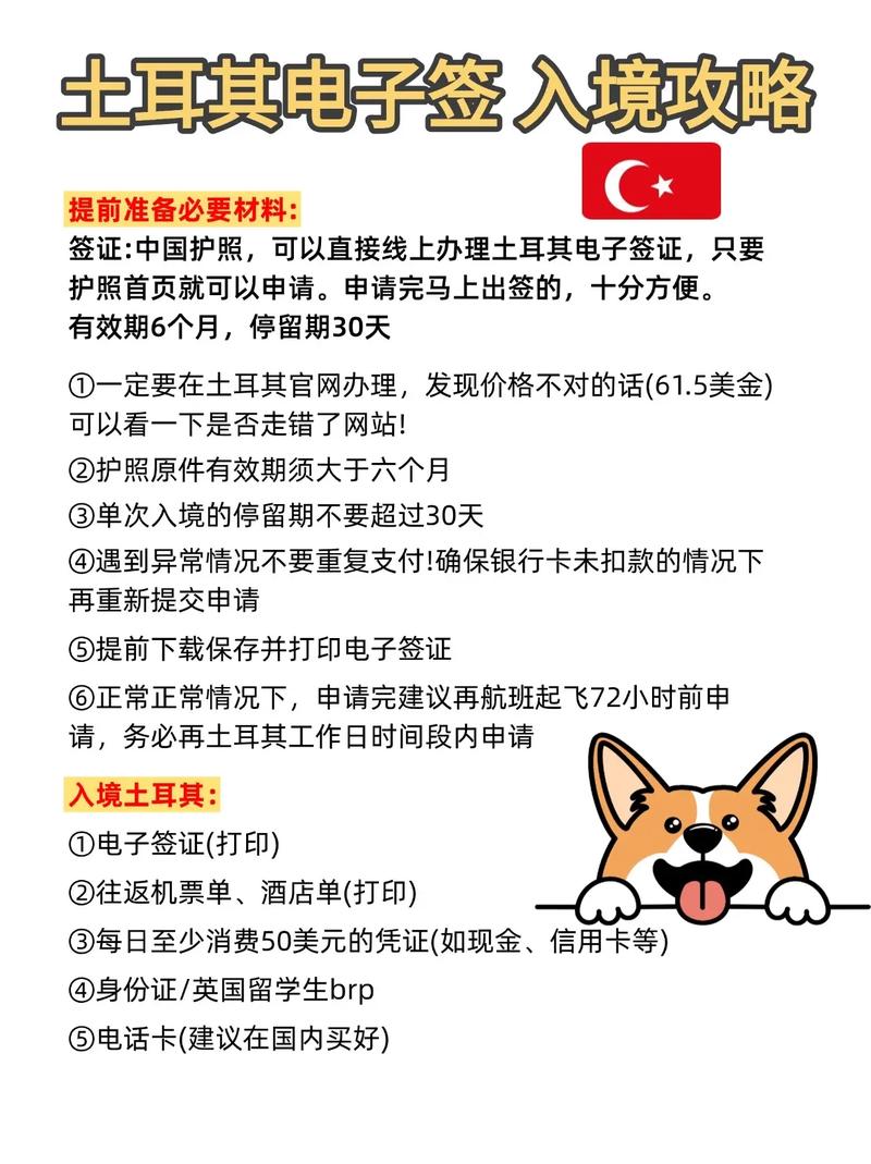 土耳其旅游签证如何办理(土耳其旅游签证如何办理手续)-第4张图片 土耳其旅游签证如何办理(土耳其旅游签证如何办理手续)-第4张图片