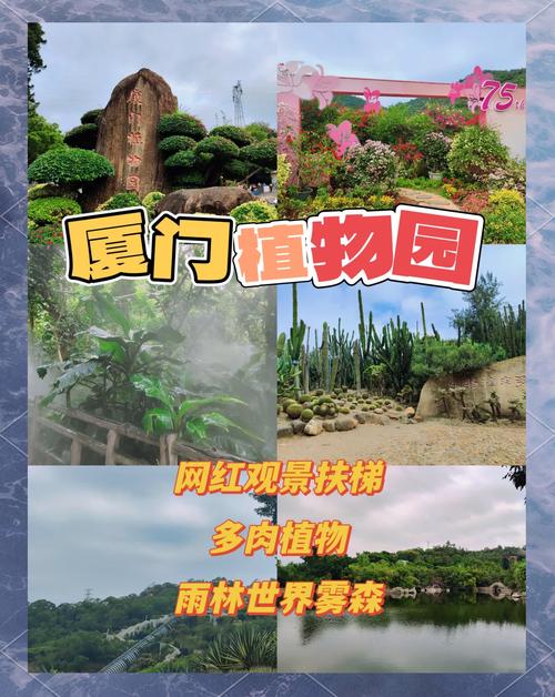 厦门游玩攻略一日游 - 厦门游玩攻略自由行一天-第6张图片 厦门游玩攻略一日游 - 厦门游玩攻略自由行一天-第6张图片