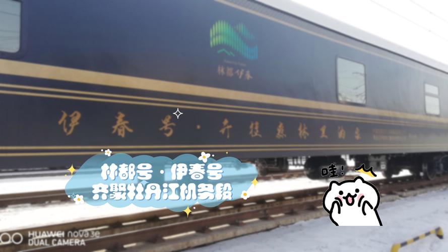 伊春旅游专列2023怎么买票,伊春旅游线路设计-第5张图片 伊春旅游专列2023怎么买票,伊春旅游线路设计-第5张图片