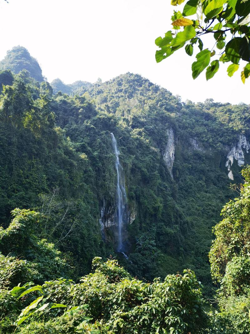 百色旅游攻略必去景点有哪些,百色旅游攻略必去景点有哪些图片-第2张图片 百色旅游攻略必去景点有哪些,百色旅游攻略必去景点有哪些图片-第2张图片