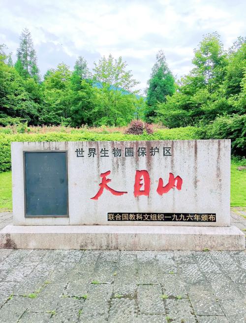 天目山旅游攻略一天游多久啊 - 天目山游玩需要几小时-第3张图片 天目山旅游攻略一天游多久啊 - 天目山游玩需要几小时-第3张图片