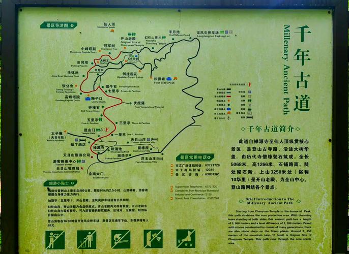天目山旅游攻略一天游多久啊 - 天目山游玩需要几小时-第4张图片 天目山旅游攻略一天游多久啊 - 天目山游玩需要几小时-第4张图片