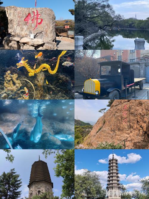 辽宁哪个地方夏天凉爽(辽宁哪个城市夏天凉快)-第6张图片 辽宁哪个地方夏天凉爽(辽宁哪个城市夏天凉快)-第6张图片