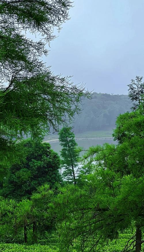 南昌冬季近郊自驾游一日游 - 冬季南昌旅游必去景点-第2张图片 南昌冬季近郊自驾游一日游 - 冬季南昌旅游必去景点-第2张图片