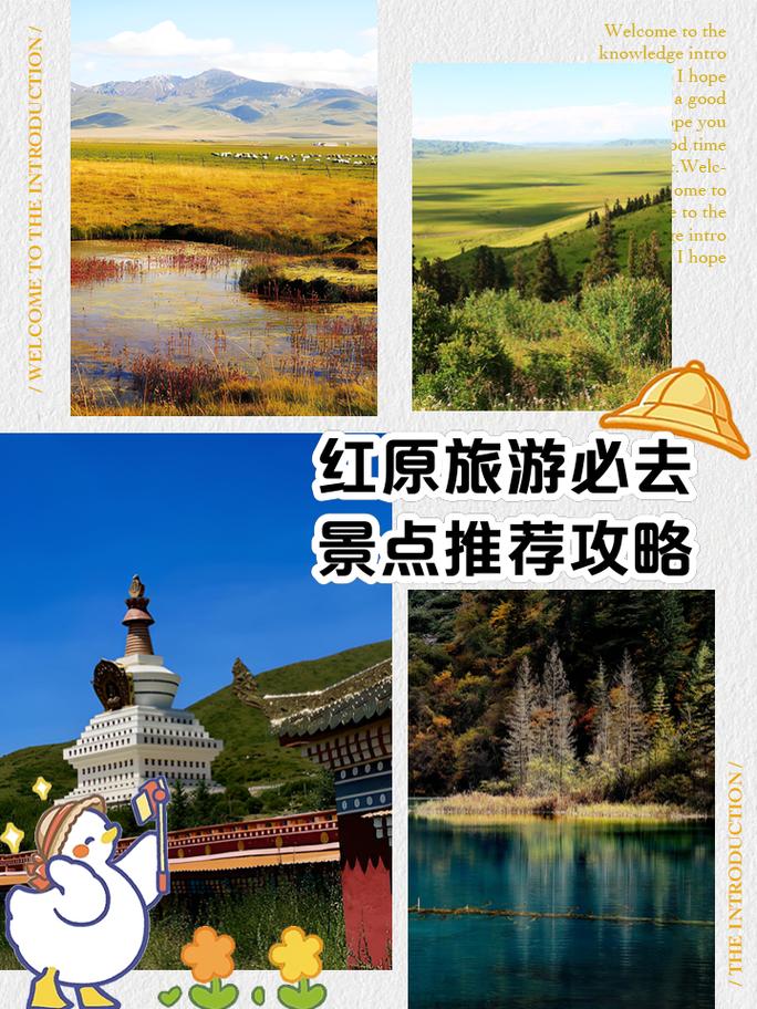 红原旅游景点攻略路线,红原旅游攻略自驾游-第2张图片 红原旅游景点攻略路线,红原旅游攻略自驾游-第2张图片