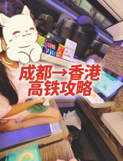 成都去香港签证办理流程（成都入境香港）-第5张图片