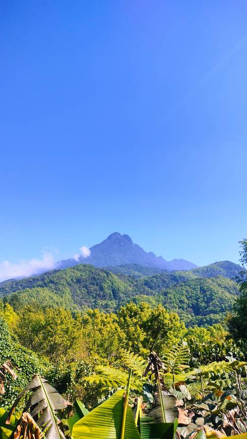 海南五指山旅游景点攻略一日游 - 海南五指山前十旅游景点-第3张图片