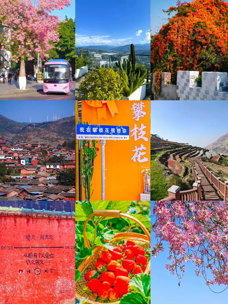 四川攀枝花旅游攻略 - 四川攀枝花旅游攻略推荐-第5张图片