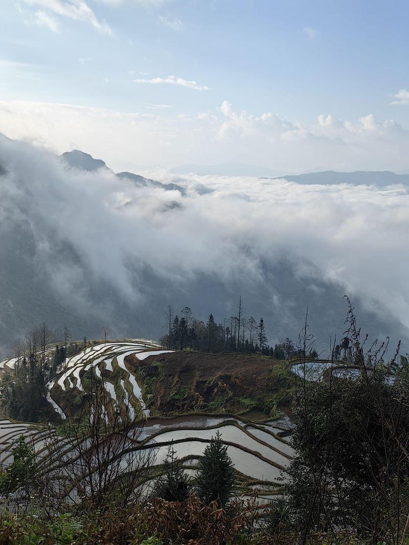 红河旅游景点推荐一下 - 红河旅游攻略自由行-第2张图片