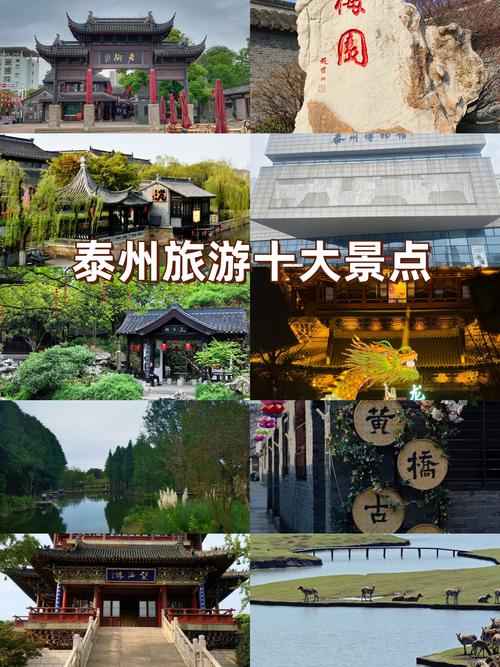 泰州旅游前十景点及门票费用,泰州旅游景点大全景点排名-第4张图片 泰州旅游前十景点及门票费用,泰州旅游景点大全景点排名-第4张图片