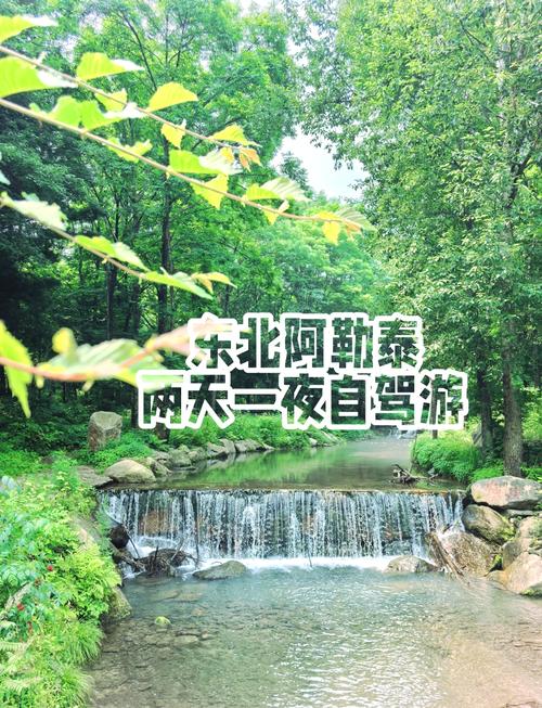 哈尔滨周边游玩景点有哪些(哈尔滨周边游玩景点有哪些好玩的)-第2张图片 哈尔滨周边游玩景点有哪些(哈尔滨周边游玩景点有哪些好玩的)-第2张图片