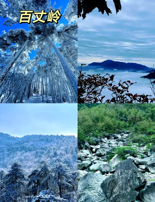 南方冬天旅游最适合的城市 - 冬季旅游南方景点推荐国内-第3张图片 南方冬天旅游最适合的城市 - 冬季旅游南方景点推荐国内-第3张图片