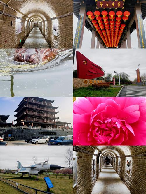 亳州旅游景点大全排名一日游有哪些地方(亳州旅游景点大全景点排名)-第2张图片 亳州旅游景点大全排名一日游有哪些地方(亳州旅游景点大全景点排名)-第2张图片