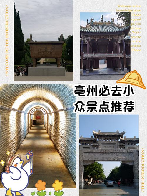 亳州旅游景点大全排名一日游有哪些地方(亳州旅游景点大全景点排名)-第5张图片 亳州旅游景点大全排名一日游有哪些地方(亳州旅游景点大全景点排名)-第5张图片