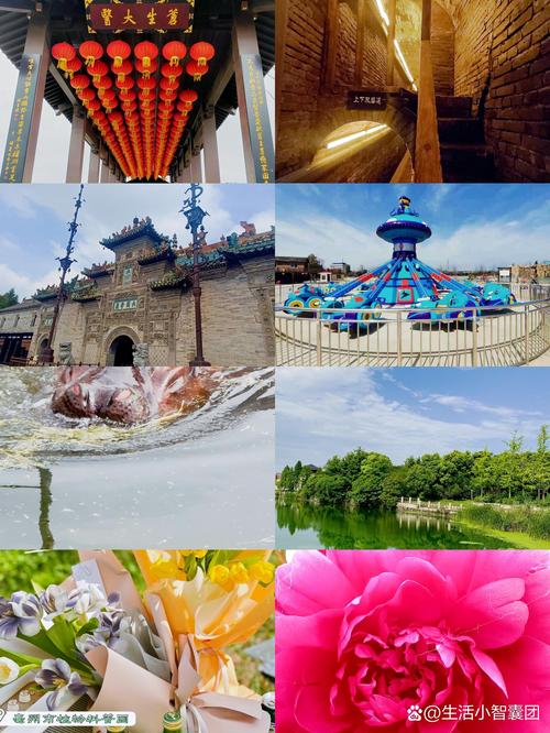 亳州旅游景点大全排名一日游有哪些地方(亳州旅游景点大全景点排名)-第6张图片 亳州旅游景点大全排名一日游有哪些地方(亳州旅游景点大全景点排名)-第6张图片