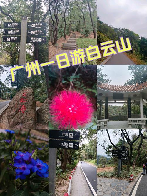 广州白云风景区游玩攻略大全最新（广州白云区风景区门票多少钱）-第1张图片