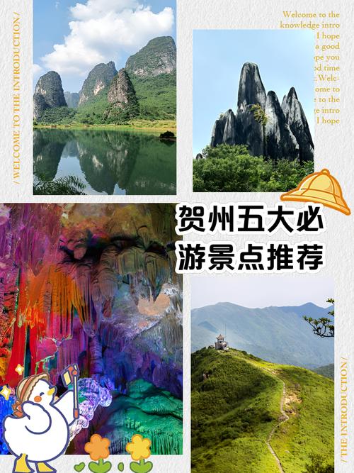 贺州旅游景点大全排名前十位(贺州旅游景区)-第4张图片 贺州旅游景点大全排名前十位(贺州旅游景区)-第4张图片
