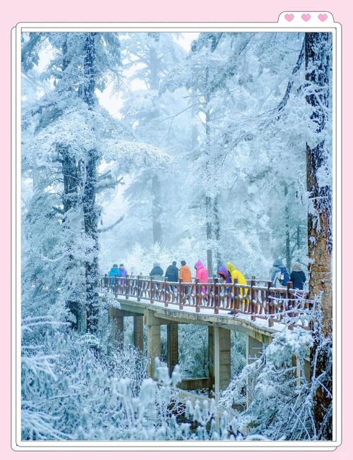 瓦屋山风景区住宿费用，瓦屋山门票多少钱2021-第5张图片