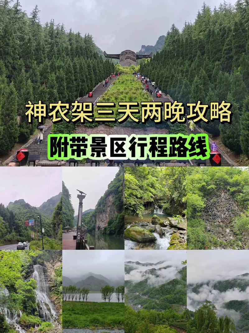 湖北神农架旅游门票多少钱 - 湖北神农架旅游攻略自助游-第5张图片 湖北神农架旅游门票多少钱 - 湖北神农架旅游攻略自助游-第5张图片