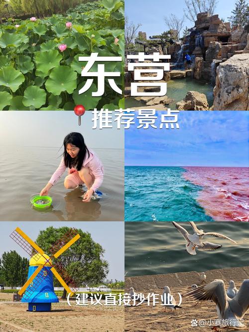 东营旅游景点有哪些景点(东营旅游必去景点)-第1张图片 东营旅游景点有哪些景点(东营旅游必去景点)-第1张图片
