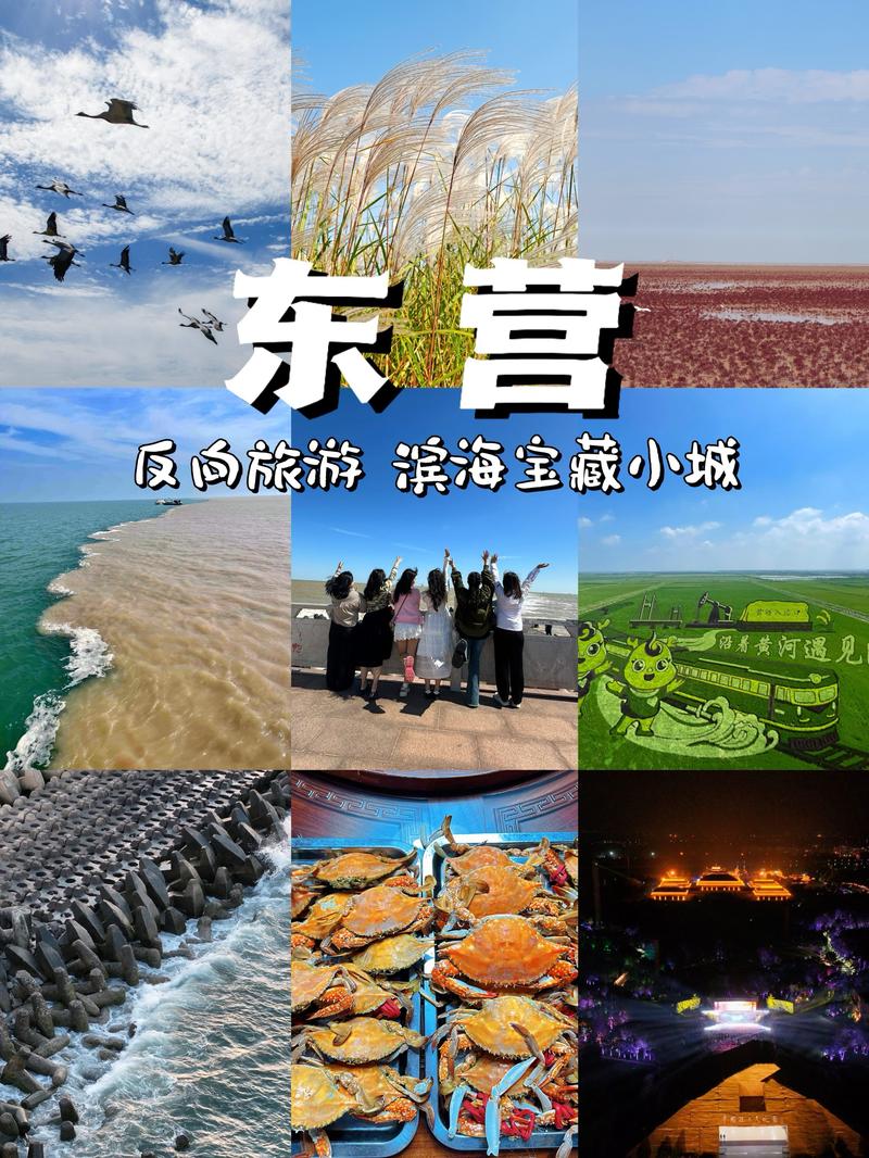 东营旅游景点有哪些景点(东营旅游必去景点)-第5张图片 东营旅游景点有哪些景点(东营旅游必去景点)-第5张图片