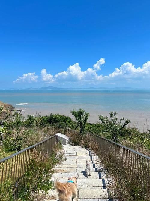 岱山蓬莱公园在哪里 - 岱山蓬莱阁海景酒店-第2张图片 岱山蓬莱公园在哪里 - 岱山蓬莱阁海景酒店-第2张图片