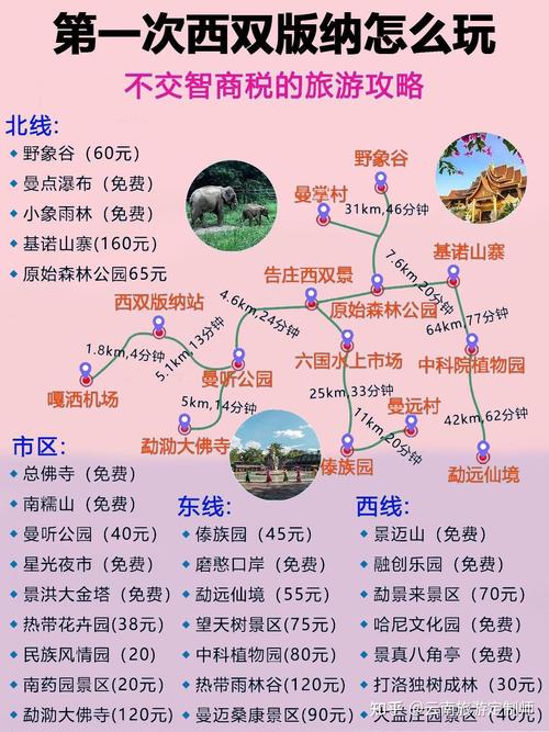 西双版纳几月去比较好玩,西双版纳几月份是旅游旺季-第1张图片 西双版纳几月去比较好玩,西双版纳几月份是旅游旺季-第1张图片