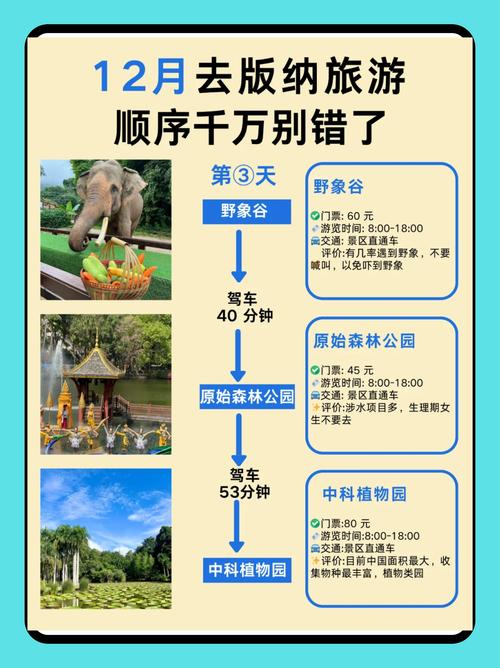 西双版纳几月去比较好玩,西双版纳几月份是旅游旺季-第2张图片 西双版纳几月去比较好玩,西双版纳几月份是旅游旺季-第2张图片
