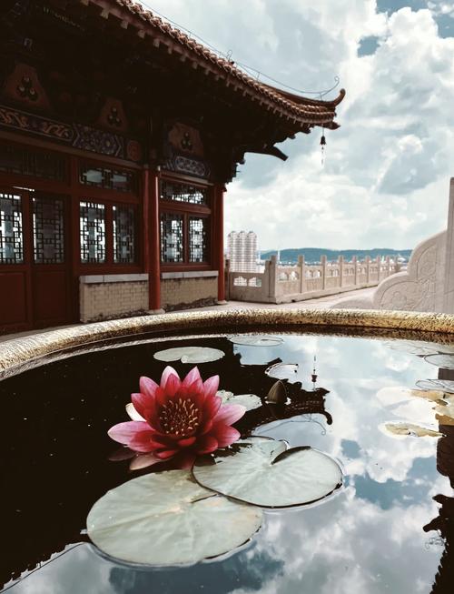辽源附近的旅游地点(辽源旅游必去前十景点)-第3张图片 辽源附近的旅游地点(辽源旅游必去前十景点)-第3张图片