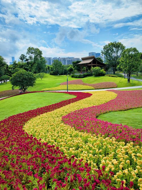 深圳有哪些地方可以看花海 - 深圳看花的地方在哪里2021-第4张图片 深圳有哪些地方可以看花海 - 深圳看花的地方在哪里2021-第4张图片