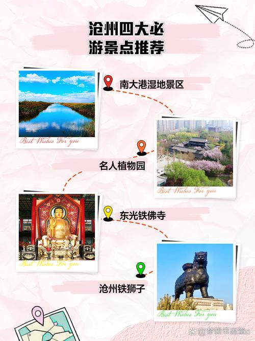 河北沧州旅游景点大全自驾,沧州旅游景点大全排名 一日游-第6张图片 河北沧州旅游景点大全自驾,沧州旅游景点大全排名 一日游-第6张图片