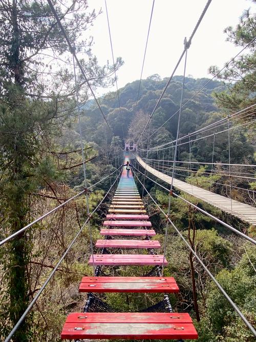福州太姥山一日游,福州 太姥山-第4张图片 福州太姥山一日游,福州 太姥山-第4张图片