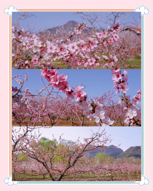 平谷自驾一日游,平谷自驾游必去的地方-第1张图片 平谷自驾一日游,平谷自驾游必去的地方-第1张图片