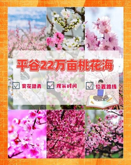 平谷自驾一日游,平谷自驾游必去的地方-第3张图片 平谷自驾一日游,平谷自驾游必去的地方-第3张图片