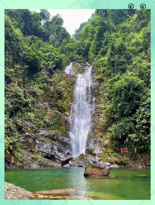肇庆鼎湖山的介绍和历史,肇庆鼎湖山好不好玩-第5张图片 肇庆鼎湖山的介绍和历史,肇庆鼎湖山好不好玩-第5张图片