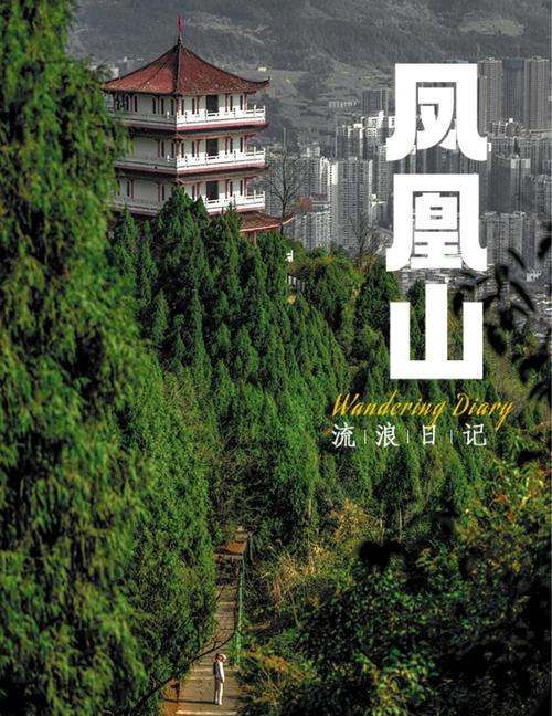 达州凤凰山景点顺序(达州凤凰山游记)-第2张图片 达州凤凰山景点顺序(达州凤凰山游记)-第2张图片