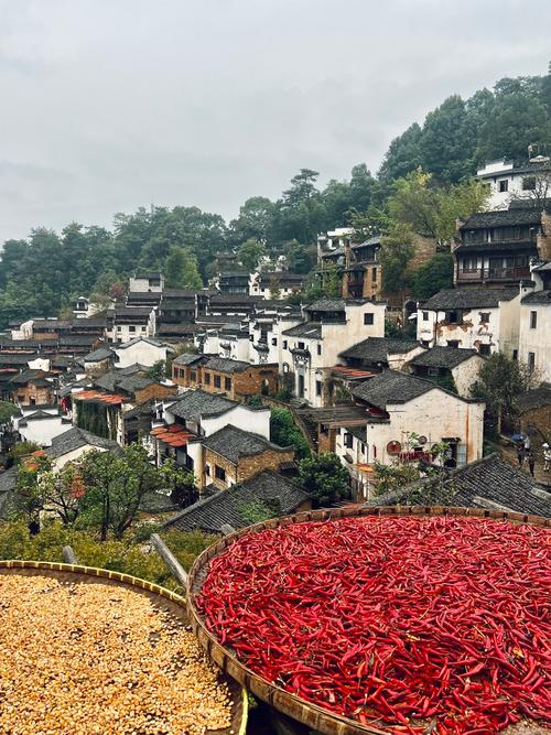 江西婺源的旅游(江西婺源的旅游资源)-第4张图片 江西婺源的旅游(江西婺源的旅游资源)-第4张图片
