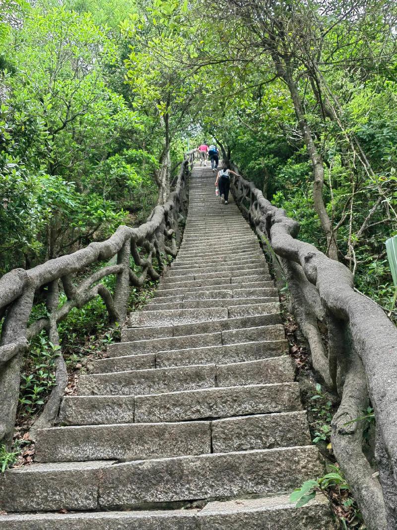 深圳笔架山全貌 - 深圳笔架山介绍-第5张图片 深圳笔架山全貌 - 深圳笔架山介绍-第5张图片
