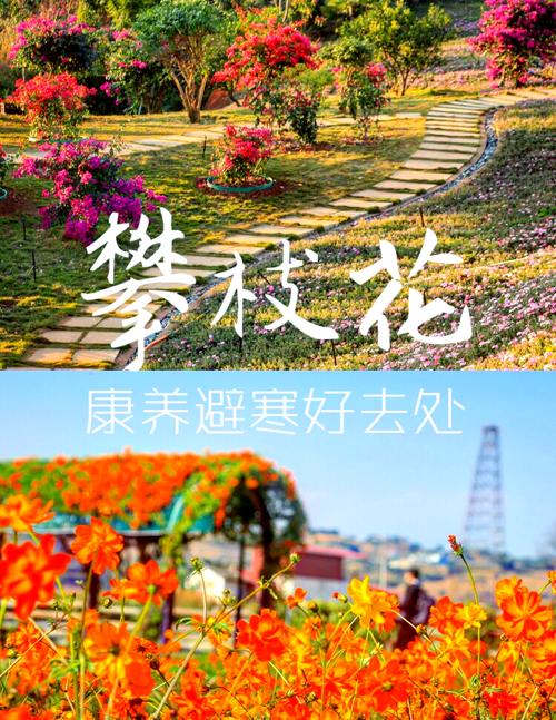 攀枝花最适合养老居住的地方(攀枝花哪个县最适合养老)-第2张图片 攀枝花最适合养老居住的地方(攀枝花哪个县最适合养老)-第2张图片