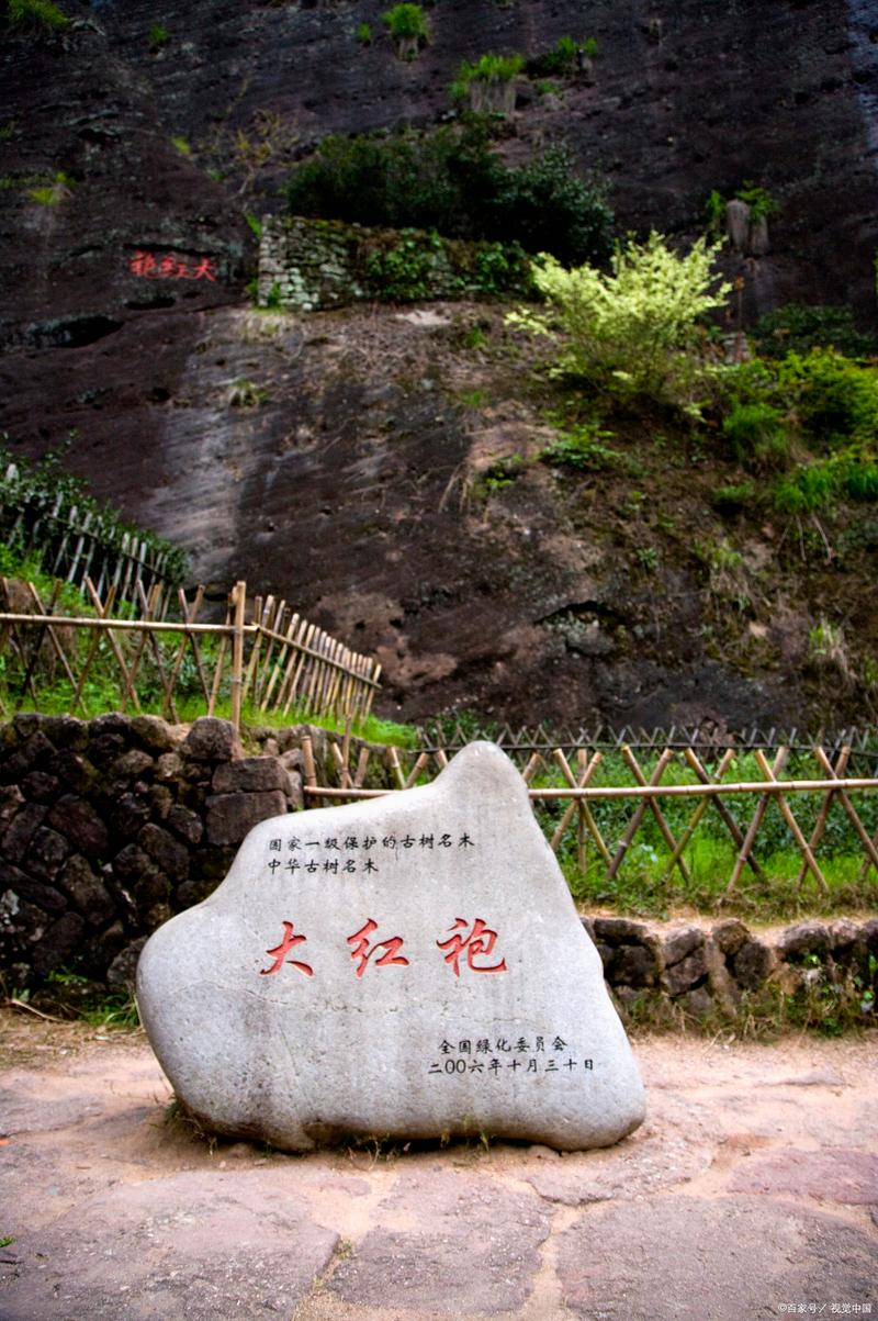 武夷山市景区，武夷山市景区管委会建设局局长是谁-第2张图片