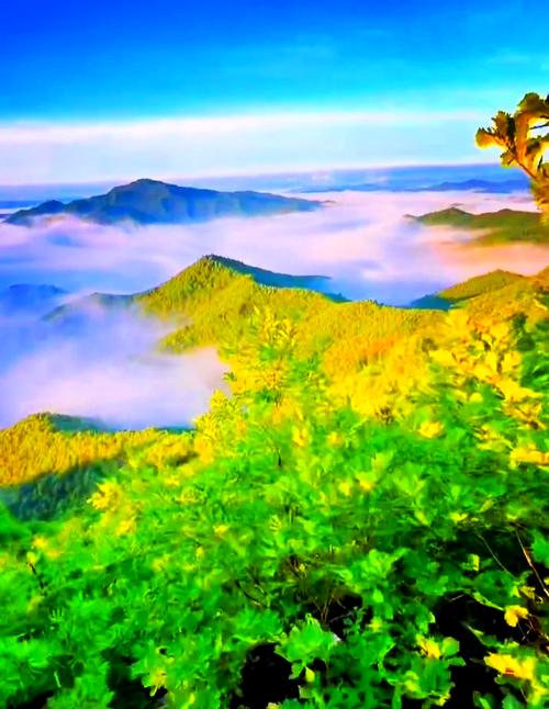 黑龙江伊春有什么山,黑龙江伊春有什么山出名-第2张图片 黑龙江伊春有什么山,黑龙江伊春有什么山出名-第2张图片
