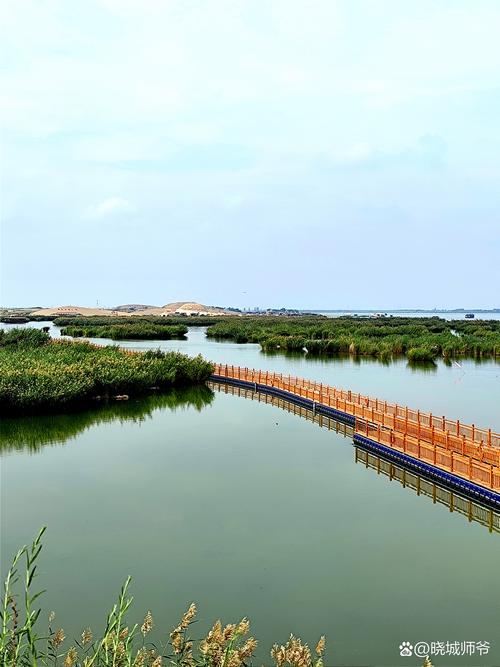 宁夏沙湖旅游景区(宁夏沙湖旅游景区文创产品 沙宝宝 胡贝贝)-第4张图片 宁夏沙湖旅游景区(宁夏沙湖旅游景区文创产品 沙宝宝 胡贝贝)-第4张图片