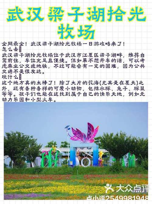 梁子湖怎么去玩,梁子湖怎么去玩最方便-第4张图片 梁子湖怎么去玩,梁子湖怎么去玩最方便-第4张图片