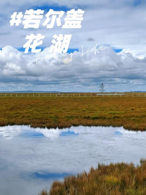 花湖景区海拔高度是多少,花湖景区游玩需要几个小时-第3张图片 花湖景区海拔高度是多少,花湖景区游玩需要几个小时-第3张图片