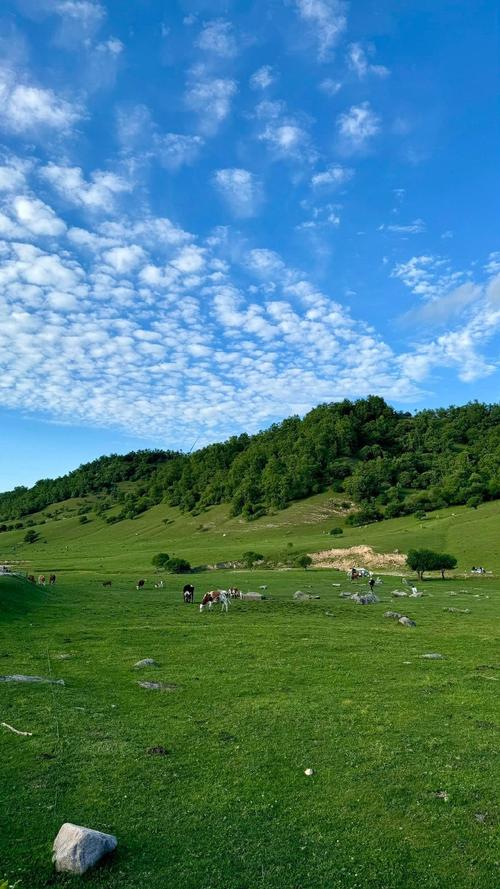 关山景区好玩吗值得去吗(关山景区门票费用)-第3张图片 关山景区好玩吗值得去吗(关山景区门票费用)-第3张图片